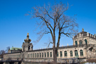 Der Zwinger