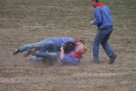 Wildpferdefang Dülmen, 2011