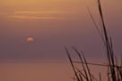 Sonnenuntergang bei Llucalcari