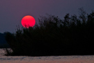 Sonnenuntergang am Chobe River