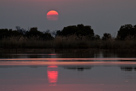 Sonnenuntergang am Chobe River