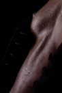 Bodyparts